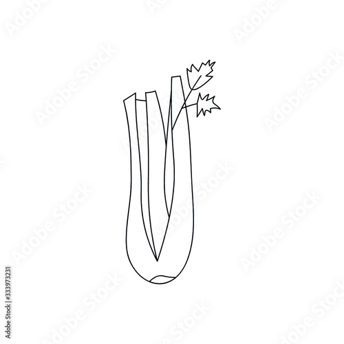 Hand drawn stalks of celery. Doodle vector illustration for vegan poster, banner, recipe, culinary design, logo. Isolated on white background