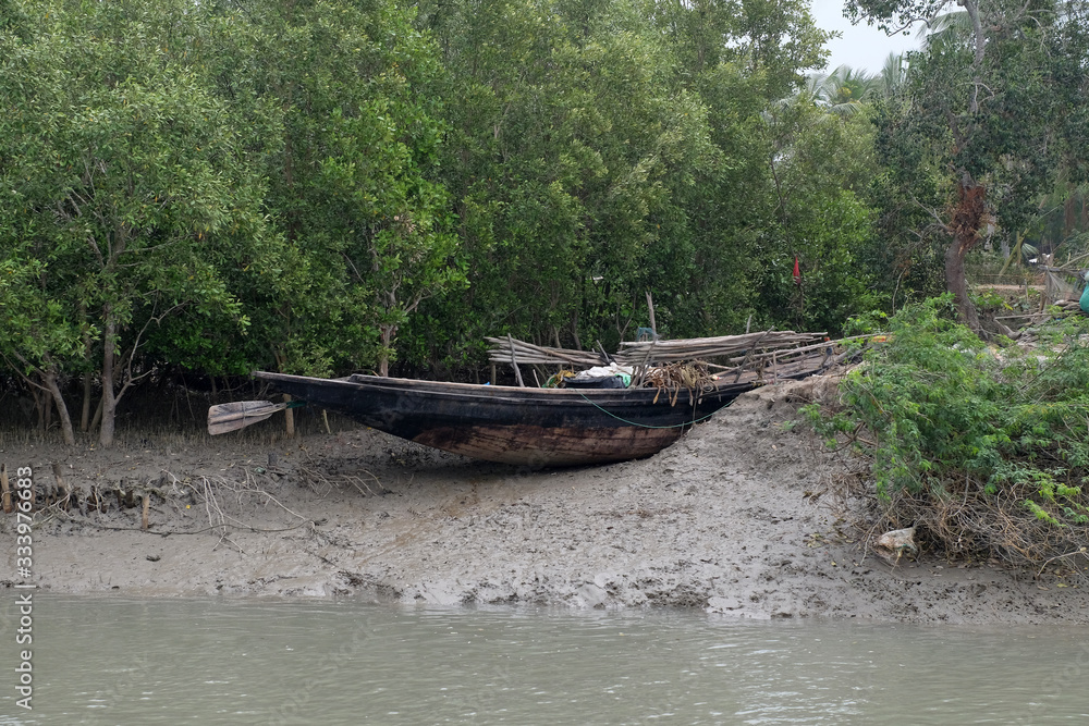 Boat on mud banks, Mangrove forest, Sundarbans, Ganges delta, West Bengal, India