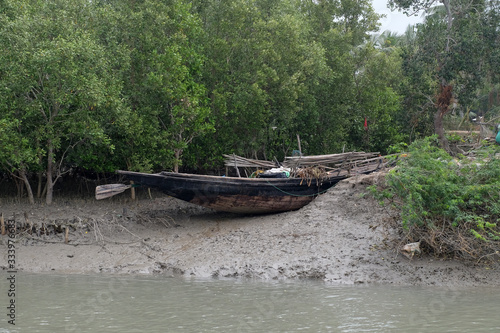 Boat on mud banks  Mangrove forest  Sundarbans  Ganges delta  West Bengal  India