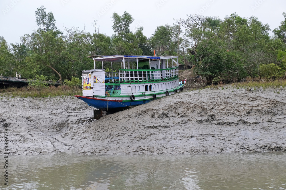 Boat on mud banks, Mangrove forest, Sundarbans, Ganges delta, West Bengal, India Boat on mud banks, Mangrove forest, Sundarbans, Ganges delta, West Bengal, India