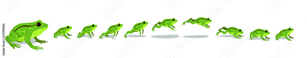 Frog jumping animation sequence. Vector illustration. Frog jumping animation sequence. Vector illustration.