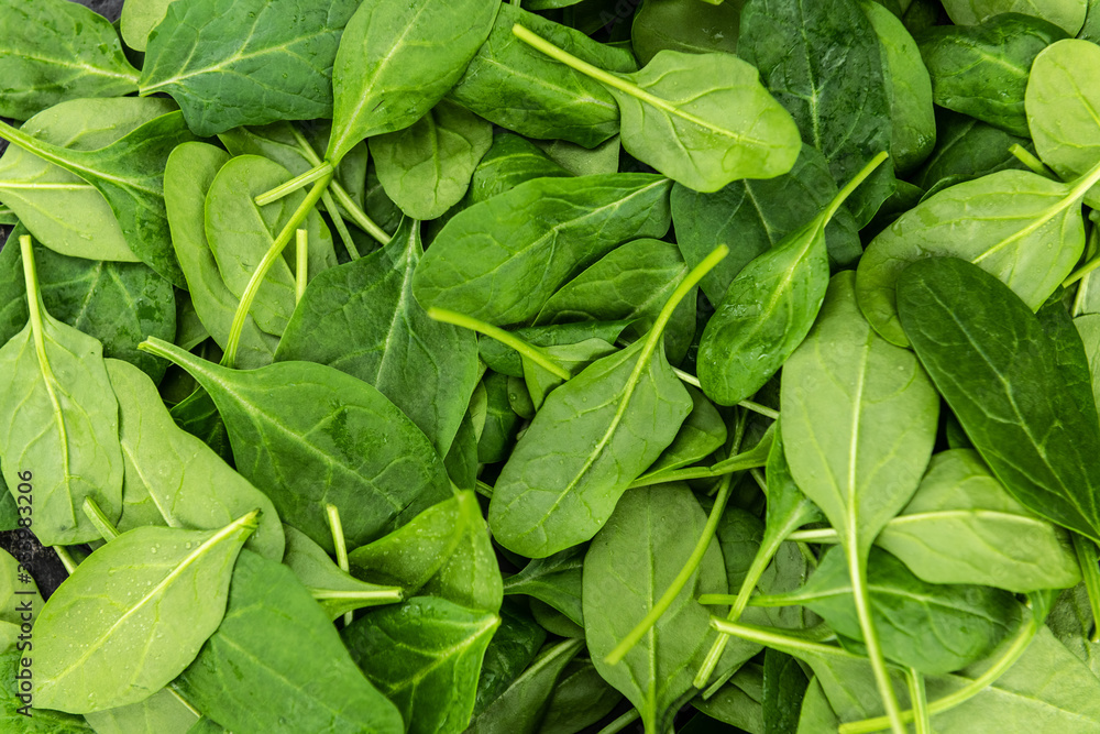 Portion of fresh Spinach (close-up shot) Portion of fresh Spinach (close-up shot)