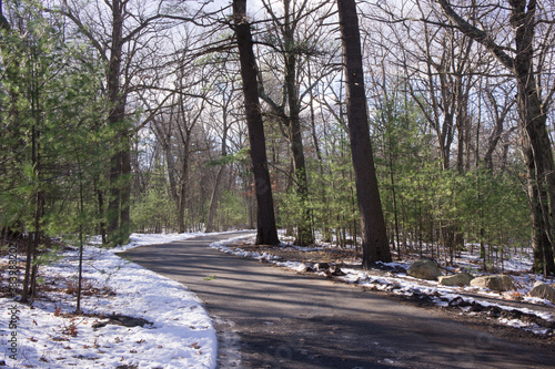 Prospect Hill, Waltham Massachusetts photo