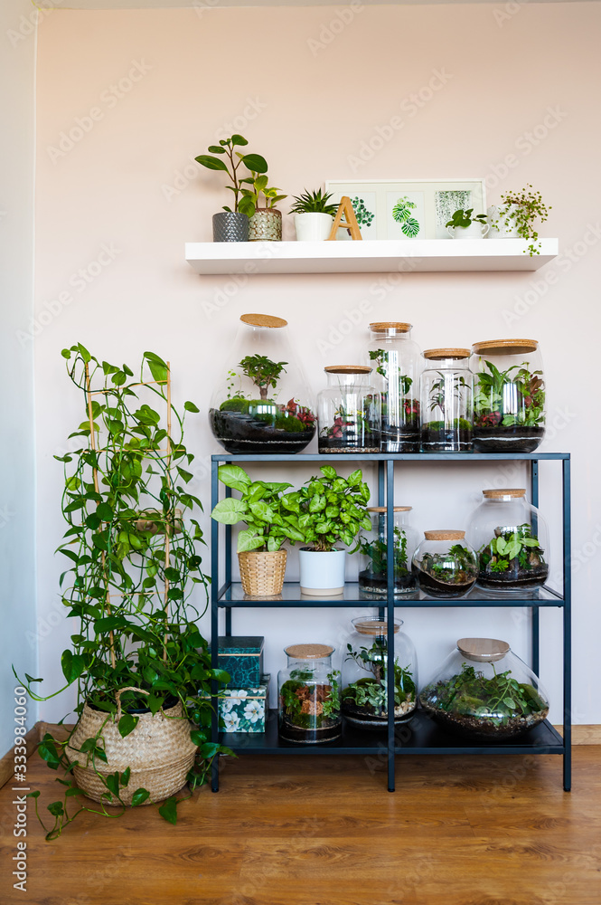 Small decoration plants in a glass bottle/garden terrarium bottle/ forest in a jar. Terrarium jar with piece of forest with self ecosystem. Save the earth concept. Bonsai, set of terrariums/ jars