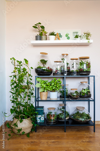 Obraz na płótnie Small decoration plants in a glass bottle/garden terrarium bottle/ forest in a jar. Terrarium jar with piece of forest with self ecosystem. Save the earth concept. Bonsai, set of terrariums/ jars w salonie
