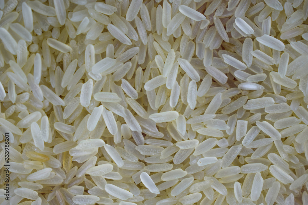 Lot of rice grains stacked together where the the grains are portrait beautifully Lot of rice grains stacked together where the the grains are portrait beautifully