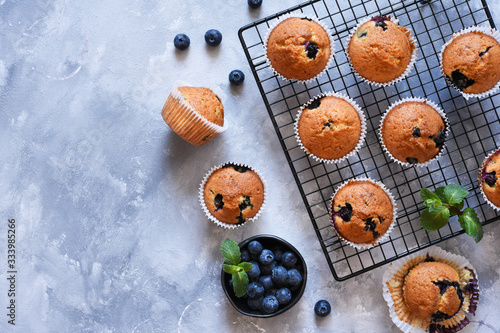 Vanilla muffins with blueberries on a concrete background. View from above.