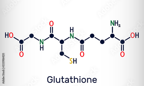 Glutathione, GSH, C10H17N3O6S molecule. It is an important antioxidant in plants, animals and some bacteria. Structural chemical formula