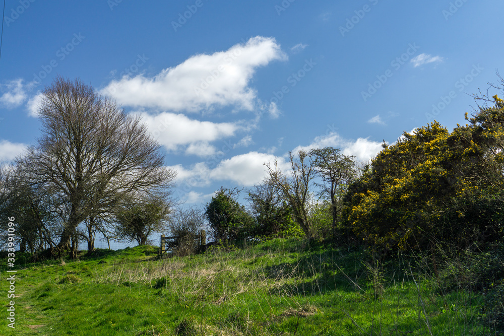 North Devon countryside near Bideford