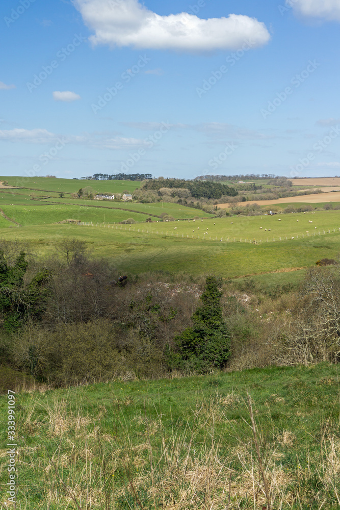 North Devon countryside near Bideford