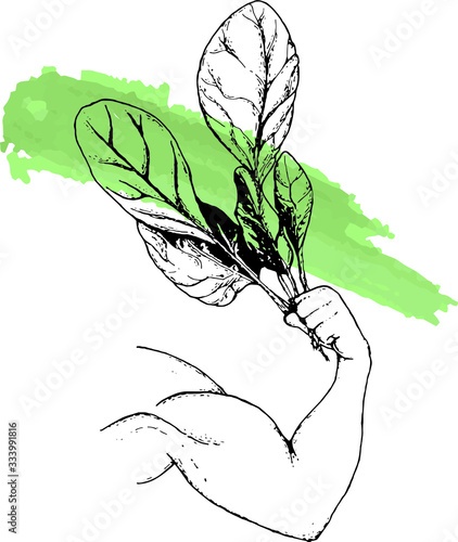 sketch illustration of spinach and strong arm