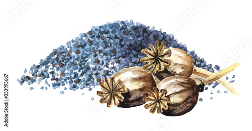Fotografie Blue poppy seeds and Dry Poppy  heads