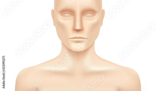 Vector human model isolated on a white background. Plastic dummy torso, realistic illustration. Unisex mannequin mockup.