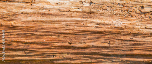 Old brown dirty natural wooden texture use as natural background for designnatural wooden shabby texture use as natural background for design