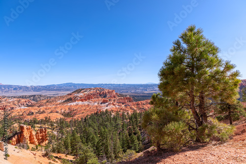 Landscape with amazing sandstone formations in scenic Bryce Canyon National Parkon on a sunny day. Utah, USA