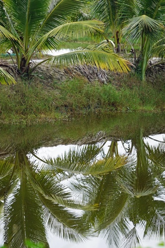 rural agriculture fields in central vietnam