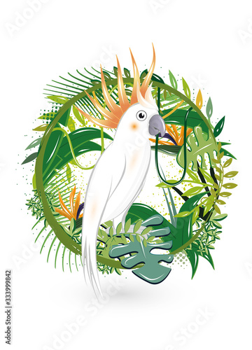 geheimnisvoller Dschungel mit Kakadu Vogel