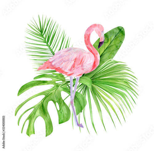 Watercolor illustration tropical exotic bird pink flamingo. Perfect as background texture, wrapping paper, textile or wallpaper design. Hand drawn isolated bird