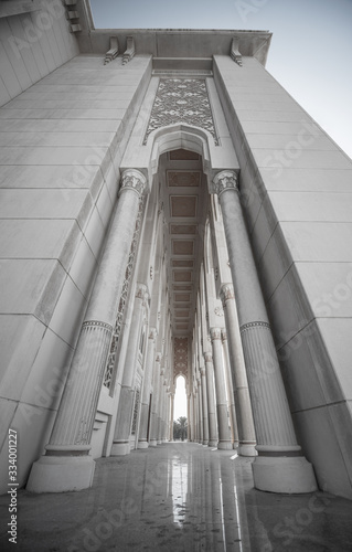American university of Sharjah