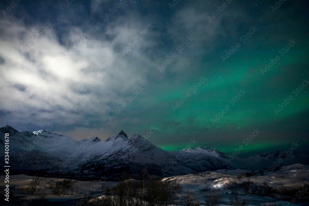 Polarlicht über dem Fjord - Lofoten - Norwegen