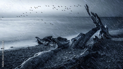 Rainy day. Flying birds. Depressed nature background.  © serkanmutan