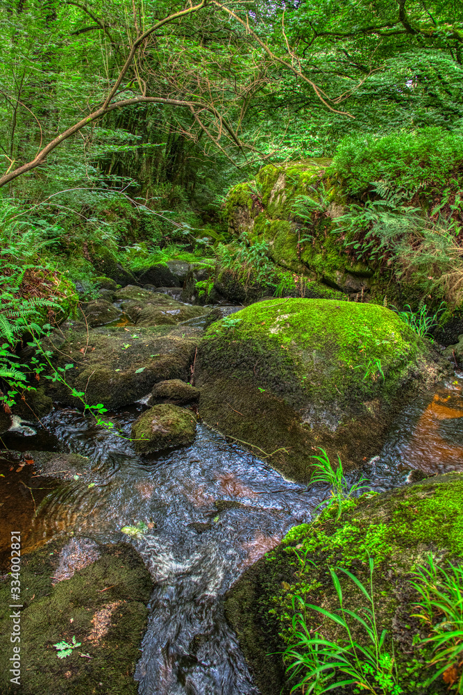 Gorges du Corong et la rivière de Follezou Gorges du Corong et la rivière de Follezou