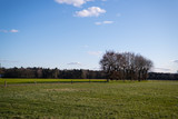 A panoramic shot of the northern German countryside on a bright sunny day