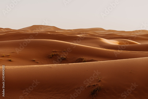 sand dunes in the desert © javierdavidmillan