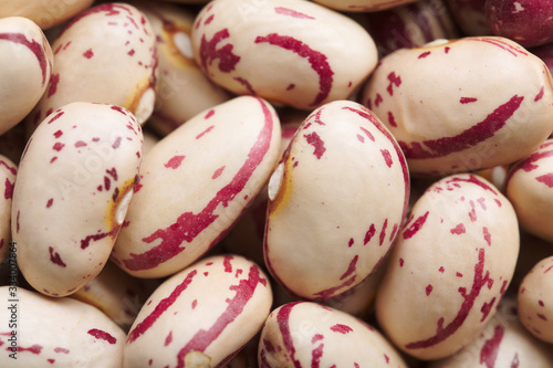 Dry pinto beans close-up macro