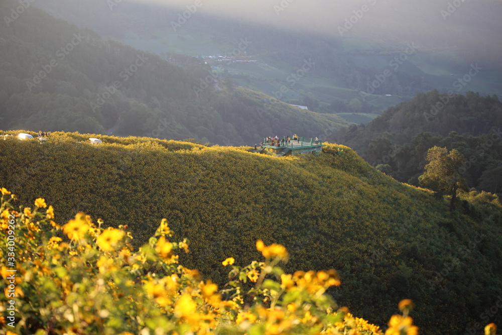 Mountain scenery filled with yellow flowers or Mexican sunflower (Tung Bua Tong) at Doi Mae U Kho, Mae Hong Son, Thailand.