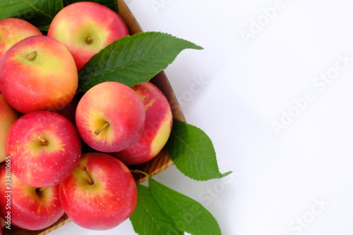 New Zealand apple on wooden background