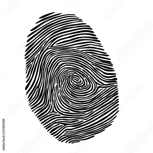 Fingerprint in black and white as vector. Hand drawn and customizeable. 