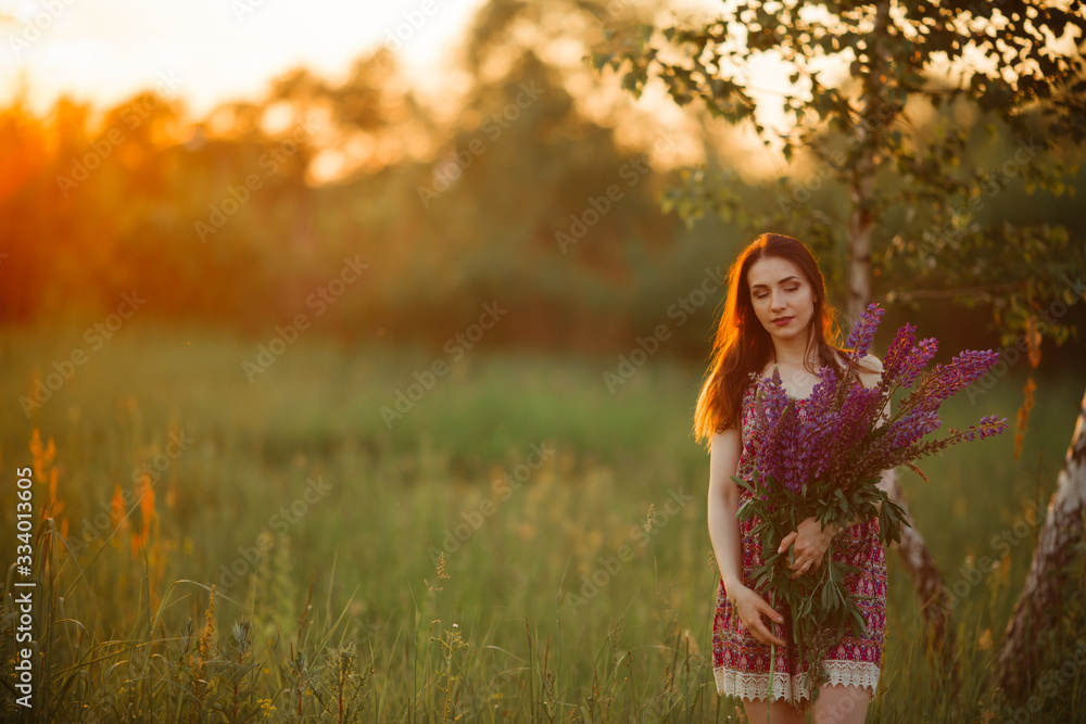 beautiful girl in a lupine field. Girl holding a bouquet of lupines beautiful girl in a lupine field. Girl holding a bouquet of lupines