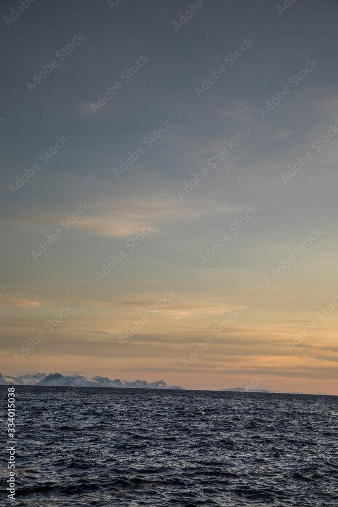 Fototapeta premium Lofoten - Winter im Hohen Norden