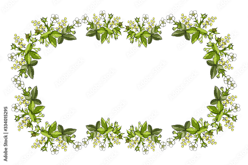Vector rectangular horizontal frame seamless pattern floral spring cartoon outline flowers and leaves of wild strawberry, barberry inflorescence on a white background hand-drawn copy space