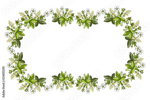 Vector rectangular horizontal frame seamless pattern floral spring cartoon outline flowers and leaves of wild strawberry, barberry inflorescence on a white background hand-drawn copy space