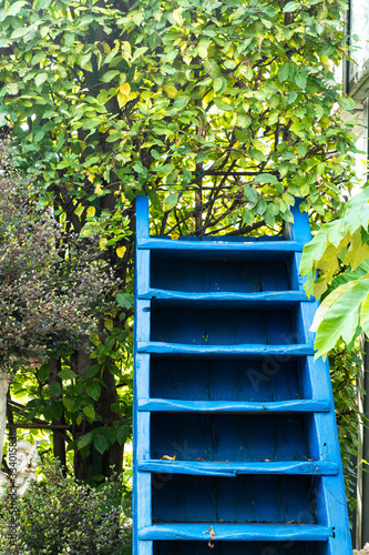 blaue Holztreppe aufwärts Richtung grünem Strauch