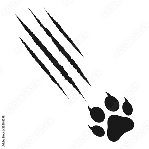 animal claws scratch scrape track. Cat tiger scratches paw shape. isolated on White background