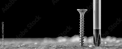 Fotografie, Obraz The screw and screwdriver close up on black background