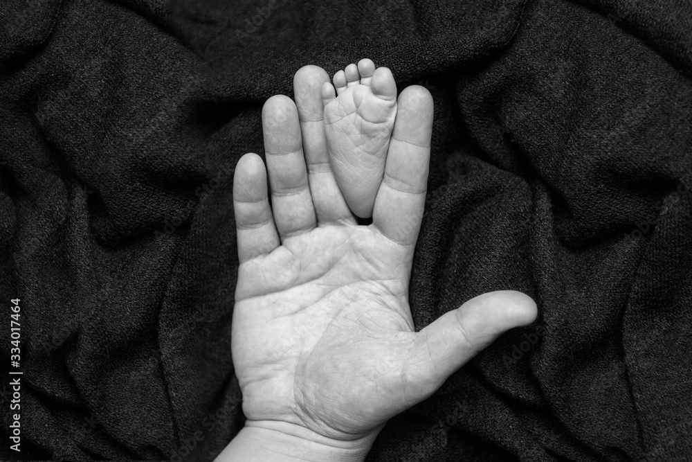 Fototapeta premium Newborn b's feet in hands of father. Close up. 