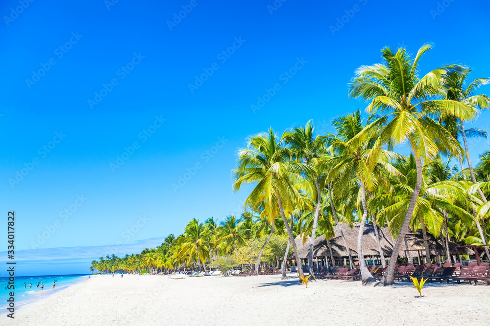 Palm trees and chairs on the caribbean tropical beach. Saona Island, Dominican Republic. Vacation travel background - obrazy, fototapety, plakaty 