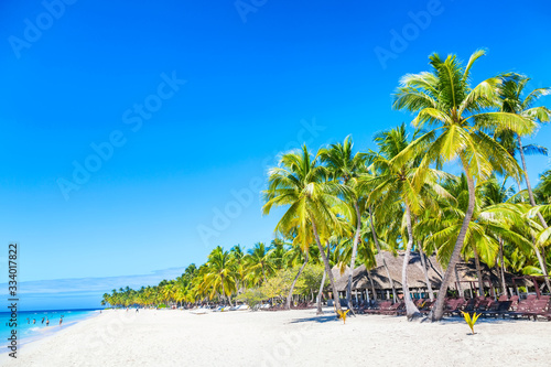 Palm trees and chairs on the caribbean tropical beach. Saona Island, Dominican Republic. Vacation travel background