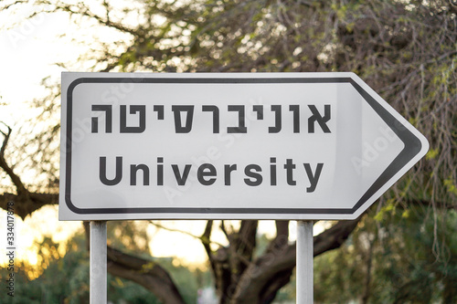 University sign on the road. University road sign, arrow on street on trees background. Closeup sign of University in english and hebrew. Tel Aviv. Israel.
