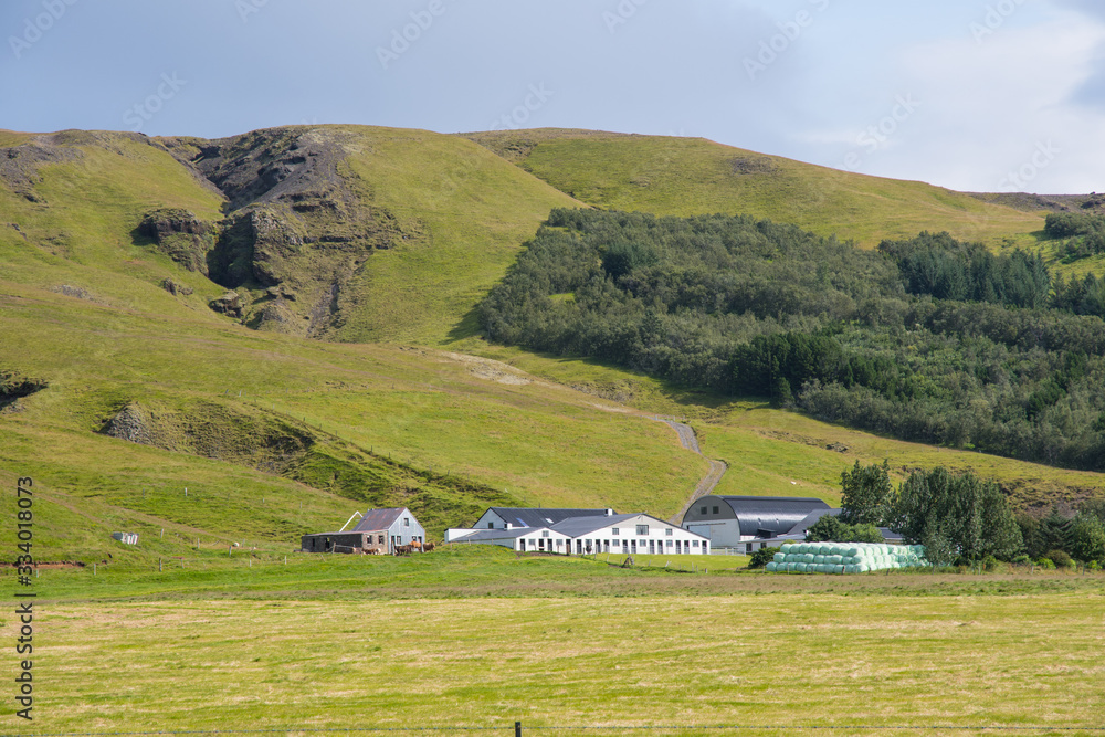Sheep farm on the Icelandic countryside