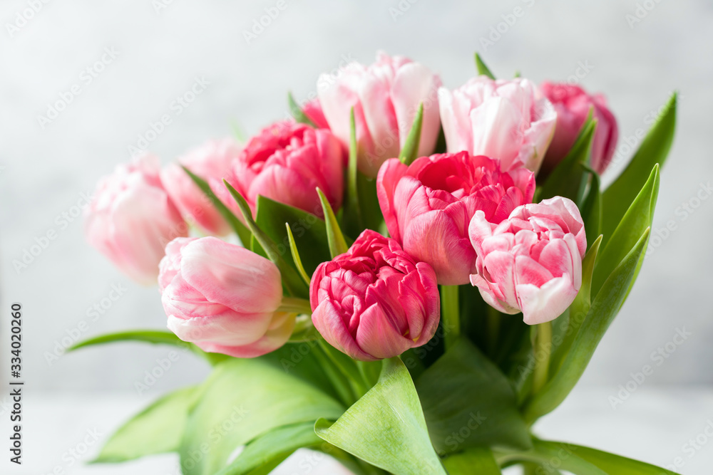 Bouquet of beautiful pink peony tulips on grey background. Closeup view