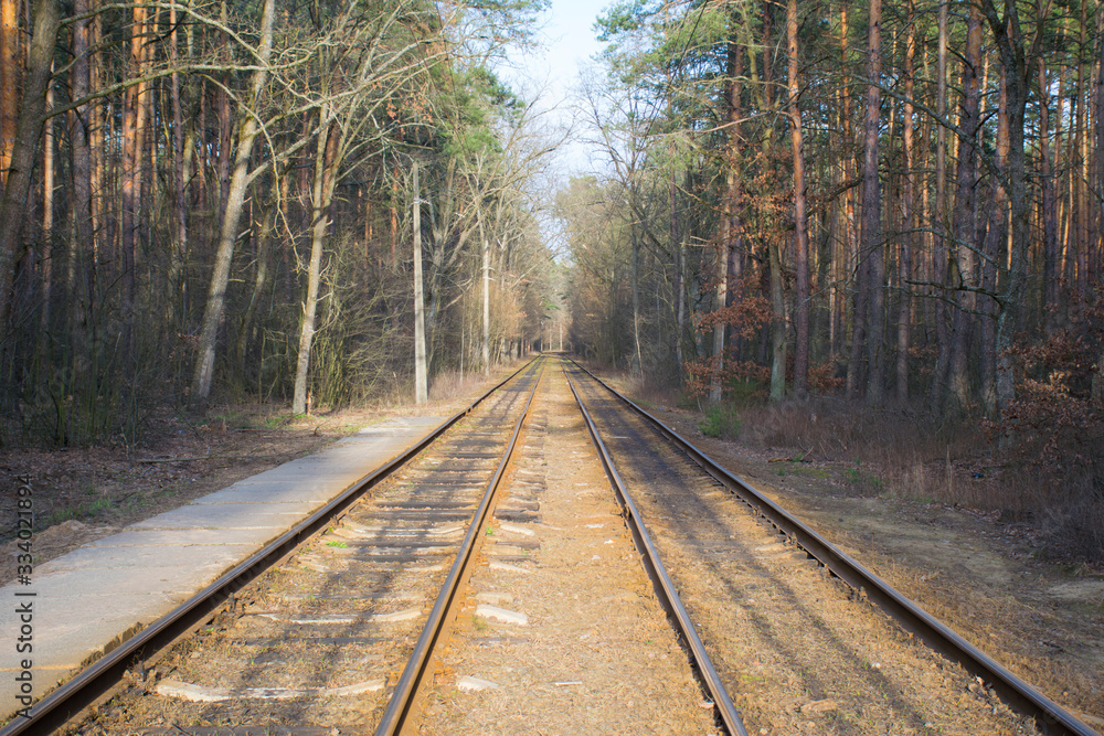 Fototapeta premium Railway or tramway track surrounded by trees with bright warm autumn colors. Sunny day.