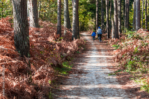 Vélo en forêt à l'automne