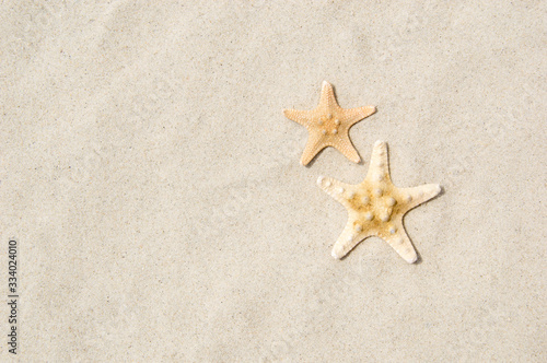 Top view of two starfish on sandy beach. Summer vacation concept on a sunny day
