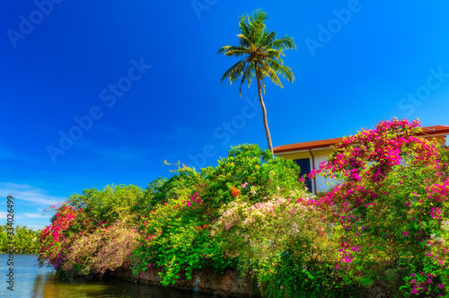 Canal in Negombo.