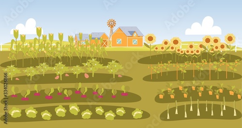 Neat Beds with Vegetables in Farmers Garden.